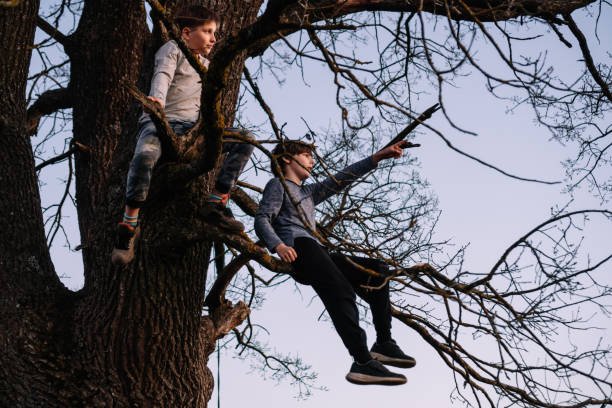Two teenagers sitting on branches of tree with no foliage and watching fall landscape. Focused boy, wearing black trousers stretching arm forward and pointing in front, showing friend charming view.